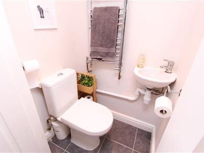 Picture 13